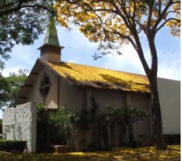 Church building covered in flowers from the golden shower tree