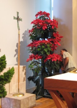 Adjustments are made to the poinsettia tree