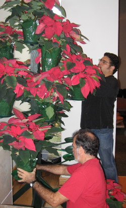 Randy and Kipp set up the poinsettia tree