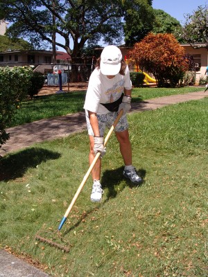 Raking the front lawn