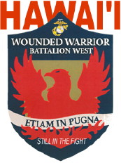 Hawaii Wounded Warrior Program patch