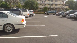 Cars in the lined Poki Lot