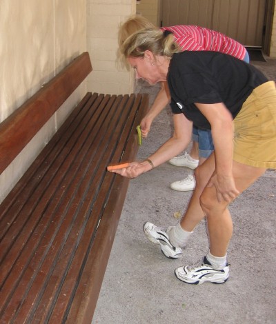 Dori Palcovich and Mary Jo Estes wash down the bench in the courtyard. Dori Palcovich and Mary Jo Estes wash down the bench in the courtyard.