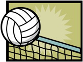 volleyball graphic