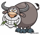 animal graphic