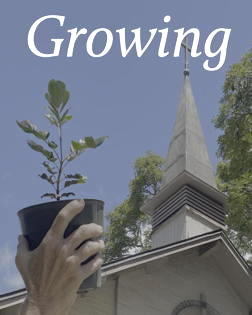 Stewardship 2025 logo: growing