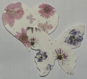 paper shapes wth embedded seeds distributed on November 30