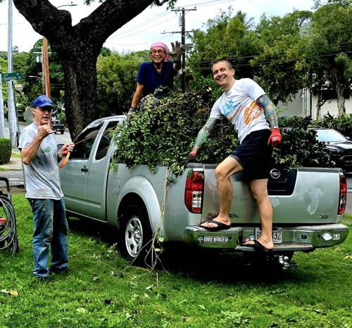 The bushes are cleared away to make way for the new mural!