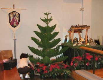 Jeanne Castello makes final adjustments to the poinsettias around the tree.